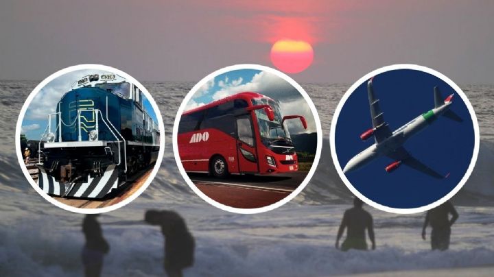 Viajar barato de playa de Veracruz a la de Oaxaca ¿Conviene tren, autobús o avión?