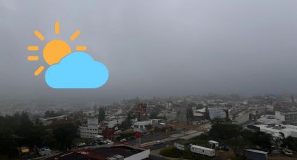 ¿Cómo estará el clima en Xalapa este lunes 08 de enero?