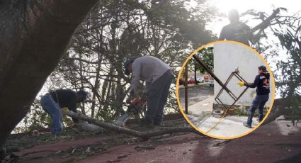 Frente Frío 25: árboles y postes caídos por viento explosivo en Veracruz