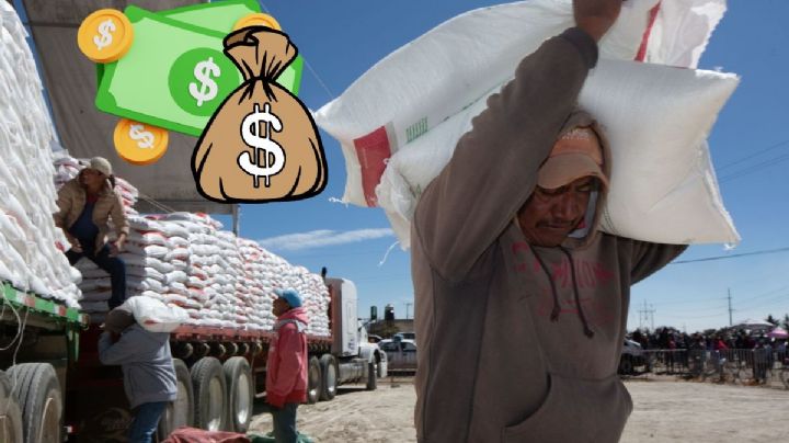 Multimillonaria inversión en nueva planta fertilizadora de Veracruz; esta es la empresa