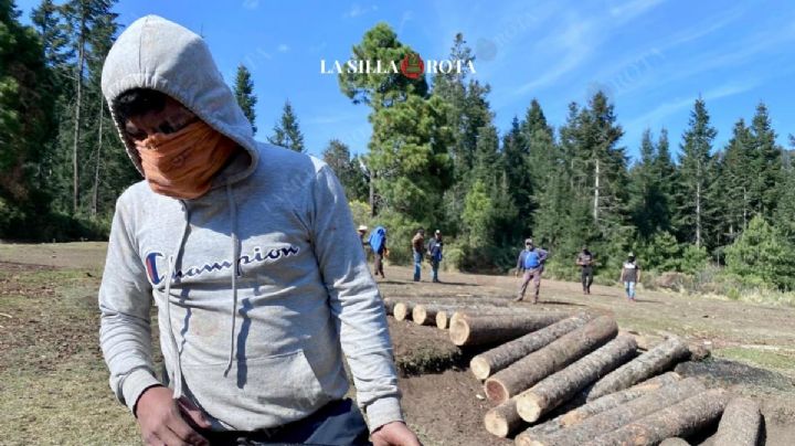 En Ocuilan, comuneros resguardan bosques ante el acecho de talamontes