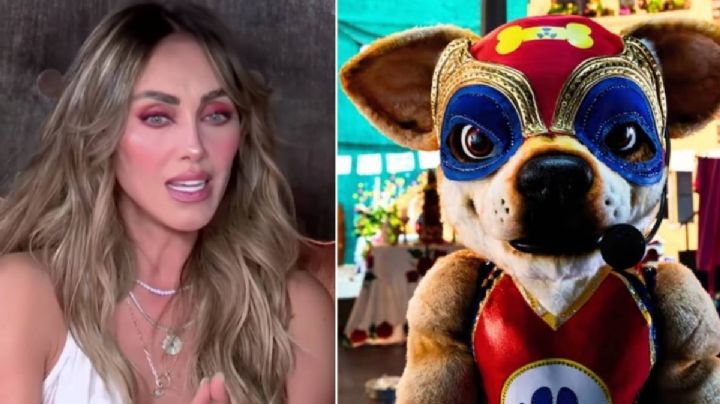 Revelan el fuerte motivo por el que Anahí salvó a Huesito peligroso en Quién es la máscara 2024