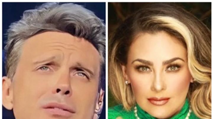 Luis Miguel y Aracely Arámbula: Revelan a quién se parecen sus hijos