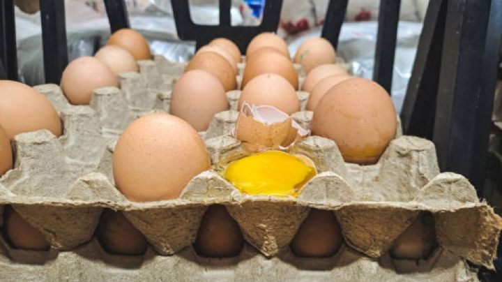 Profeco alerta por precio del huevo