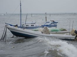 Norte alcanza racha de 72 km/h en Veracruz; esto sabemos