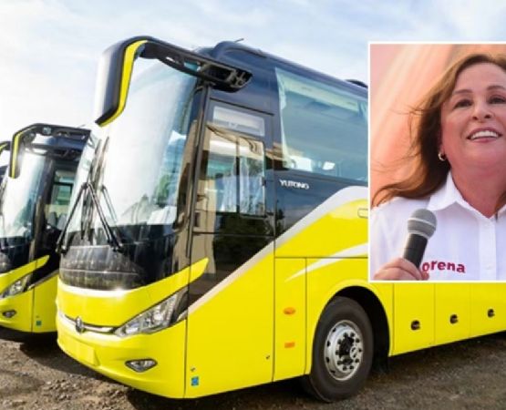 Nahle confirma que busca autobuses eléctricos para Veracruz