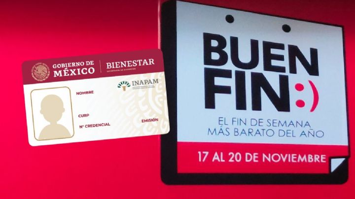 Buen Fin 2024: ¿Qué beneficios ofrecerá el INAPAM en Veracruz?