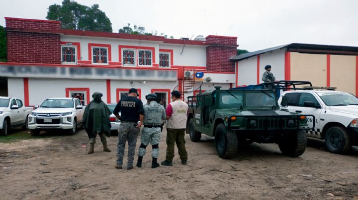 Profepa vs aserraderos: Estas son las irregularidades detectadas