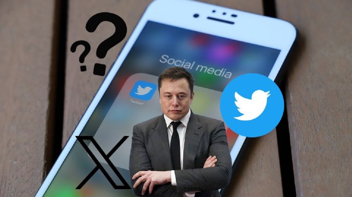 ¿Quién es el dueño de Bluesky, la red social que dejaría en el olvido a X de Elon Musk?