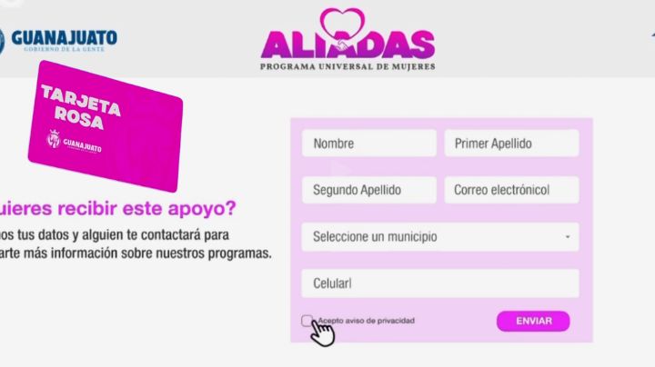 Tarjeta Rosa: ¿Cómo registrarse en línea para obtenerla?