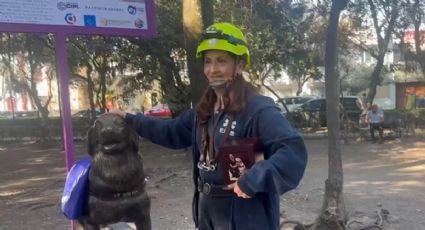 Nalah, la perrita rescatista que salvó vidas en el sismo de 2017 en CDMX