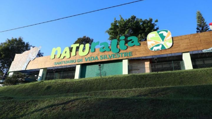 Inauguran Parque Naturalia en Xalapa: estos son los horarios y costos