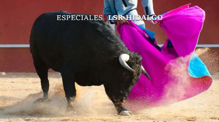 Corridas de toros: ¿Patrimonio cultural o maltrato animal?