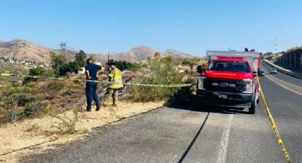 Una bebita pasa 13 horas sola en un barranco oscuro y sobrevive en Guanajuato