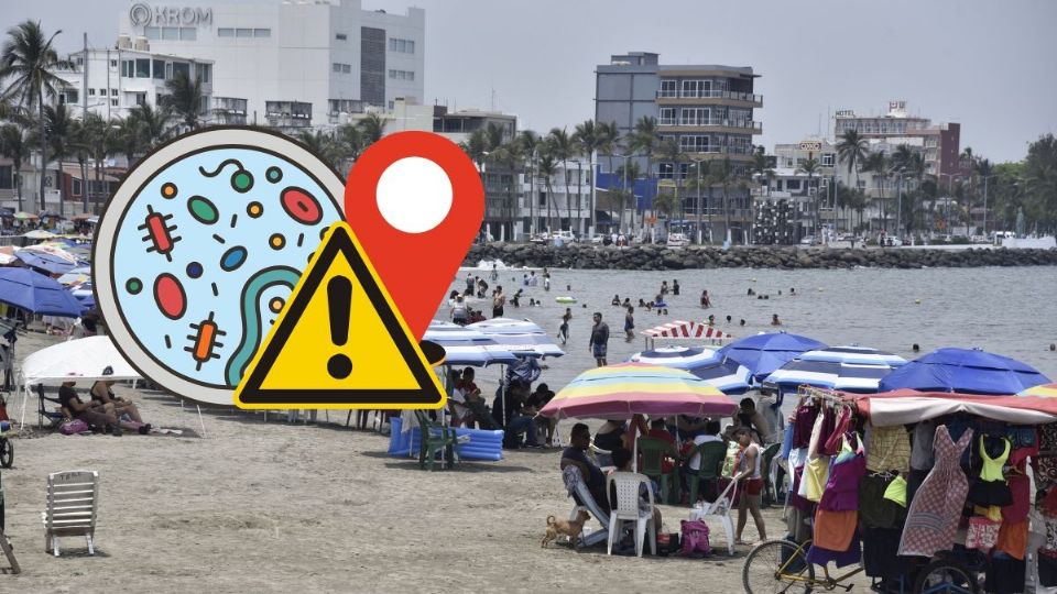 ¿Cuáles son las playas de Veracruz aptas para nadar en vacaciones de invierno? Esto dijo Cofepris