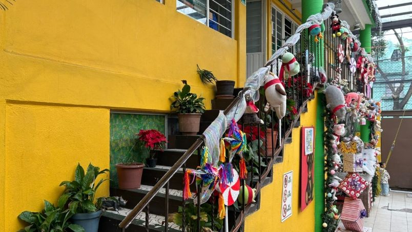 La Navidad llega a la Casa de las Mercedes