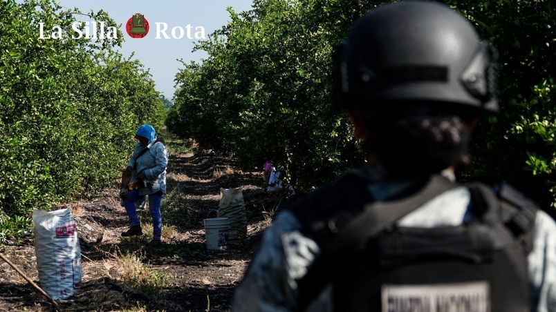 Limoneros, bajo constante amenaza de muerte en Michoacán