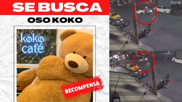 Se roban oso de peluche; si te lo regalan el 14 de febrero “tu no novio se lo robó” | VIDEO