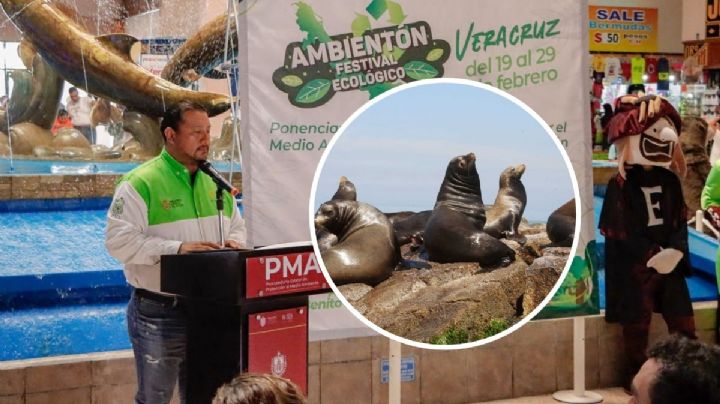 Estas serán las actividades del Ambientón Ecológico 2024 de Veracruz