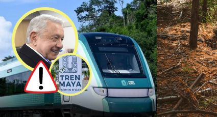 Tren Maya: el impacto y descontentos que generó su construcción