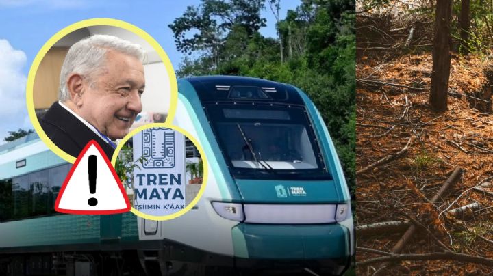 Tren Maya: el impacto y descontentos que generó su construcción