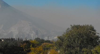 Estudia la UAT el impacto de la urbanización y contaminación en la vegetación en México