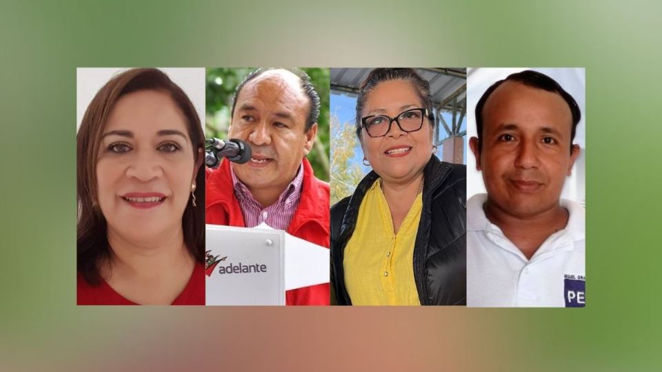 Esta es la lista de candidatos a diputados federales del PRD por Veracruz