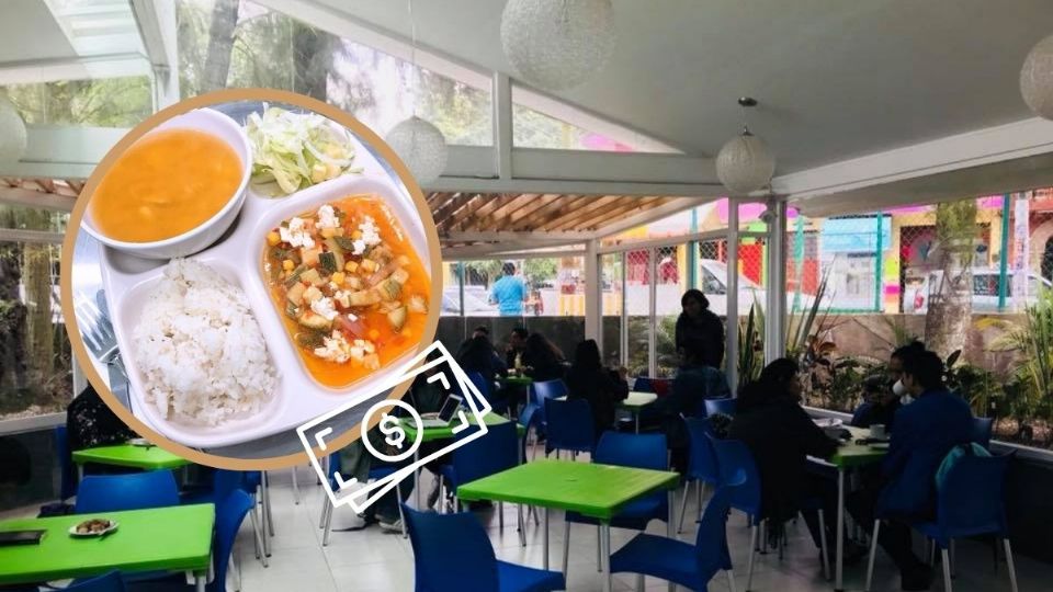 ¿Cómo recibir una beca alimentaria en la Universidad  Veracruzana? Checa la convocatoria