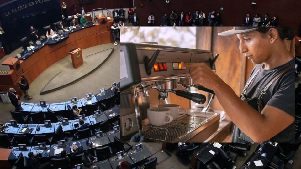 Senado aprueba la Ley Silla, que beneficia a trabajores que desempeñan sus labores de pie.