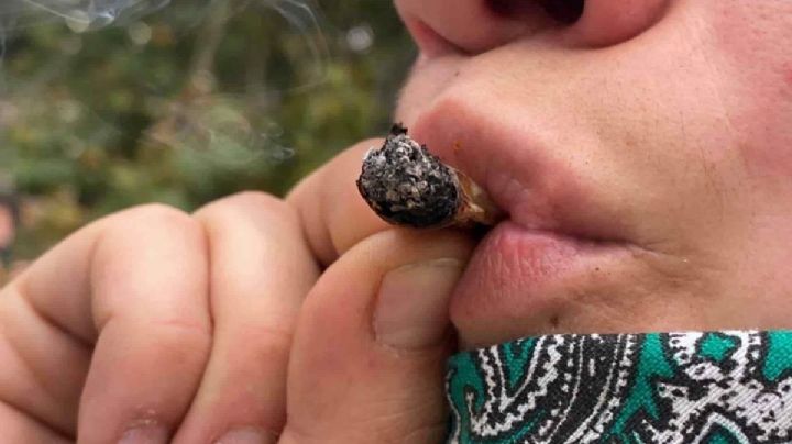 Alemania dice SÍ al uso recreativo de cannabis con 407 votos a favor