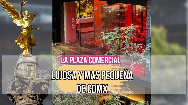 Así es la plaza comercial de lujo, pero más pequeña de la CDMX