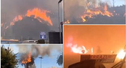 Incendios forestales arrasan Chile; autoridades ordenan evacuación