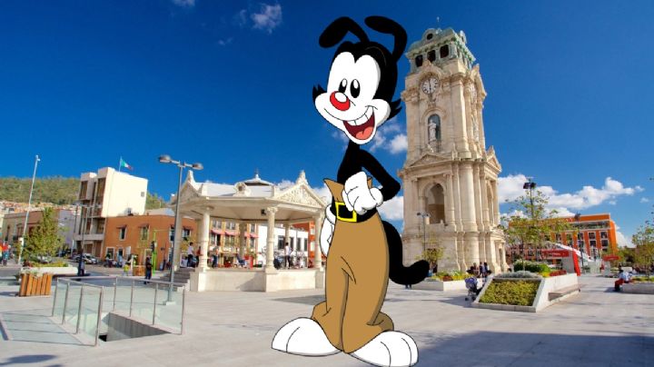 Así suena Pachuca, en la canción del mundo de Yakko Warner | VIDEO