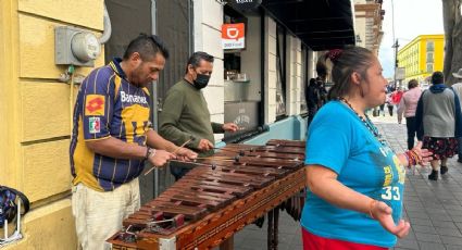 Marimba Flor de Café, 30 años llevando música y baile a las calles de Xalapa