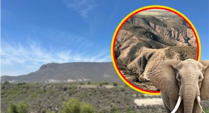 ¿Qué esconde el mítico cerro del Elefante en Hidalgo? Un destino imperdible