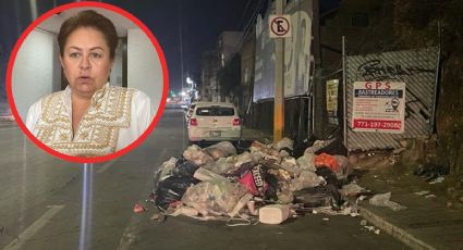 Semarnath no ayudan a municipios con problema de basura, acusa diputada local