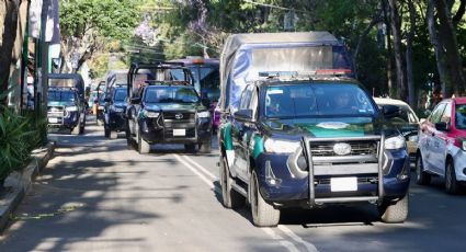 Coyoacán: retiran con grúa 767 vehículos en dispositivo de chatarrización