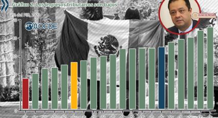 México y la OCDE; perspectivas antagónicas