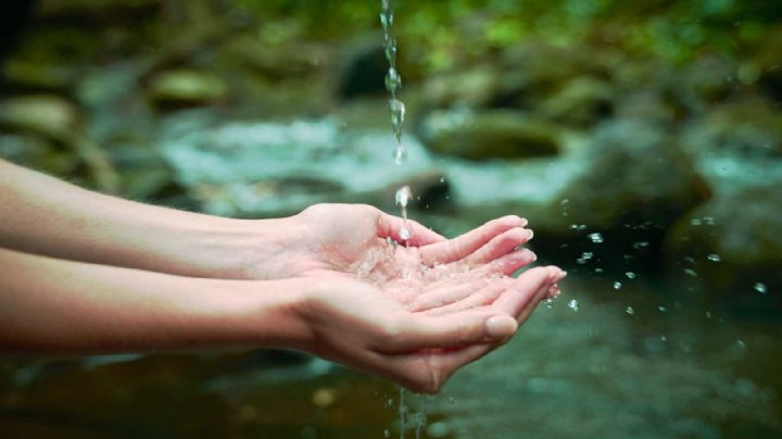Día Mundial del Agua: cuidémosla