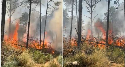 Incendios forestales en Edomex: La población debe protegerse del humo