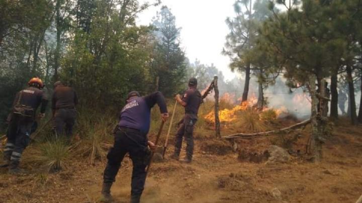 Incendios forestales en Atizapán: Vecinos dudan de la causa