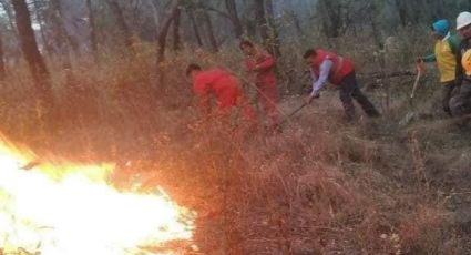 Se reavivan incendios en Jilotzingo; piden apoyo para los brigadistas