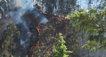 Arde Santa Fe: Reportan incendio forestal cerca de Parque La Mexicana