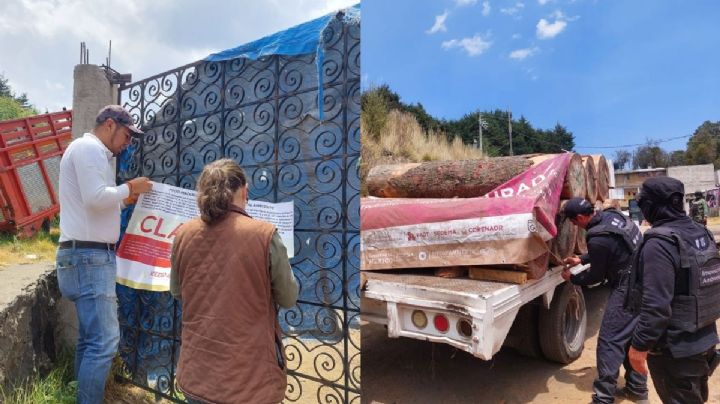 Clausuran 3 aserraderos clandestinos en la alcaldía Tlalpan