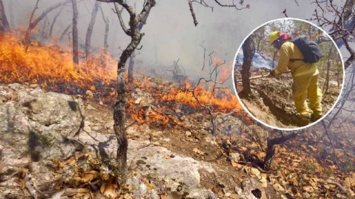 Empiezan a contener el fuego en la Sierra de Santa Rosa en Guanajuato