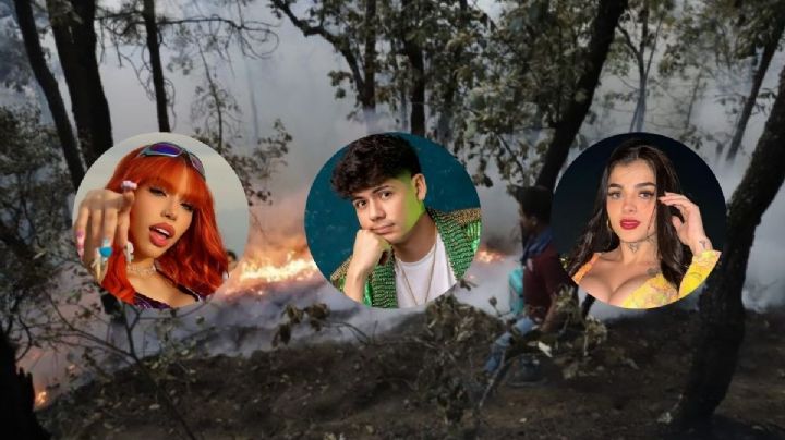 Karely, Ántrax, Yeri MUA y otros influencers que ayudaron a Veracruz por incendios