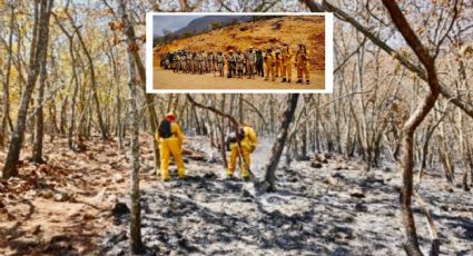 Detienen avance del fuego en la Sierra de Santa Rosa; está controlado en un 60%