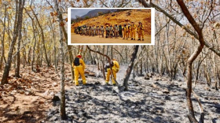 Detienen avance del fuego en la Sierra de Santa Rosa; está controlado en un 60%