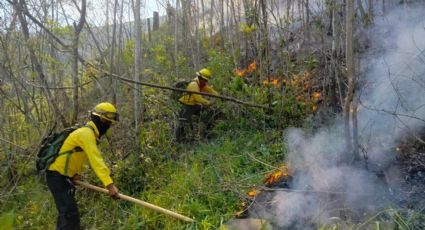 Daños por incendio en Altas Montañas causarán estragos en producción agrícola