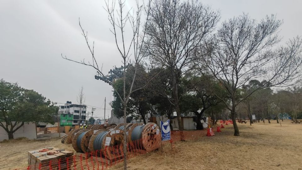 Cablebús Línea 3: “Nos estamos quedando sin árboles”: Vecinos cansados del ecocidio por las obras